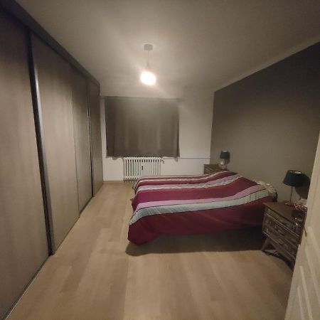 Tres Grand Appartement De 76M2 A Страсбург Екстер'єр фото