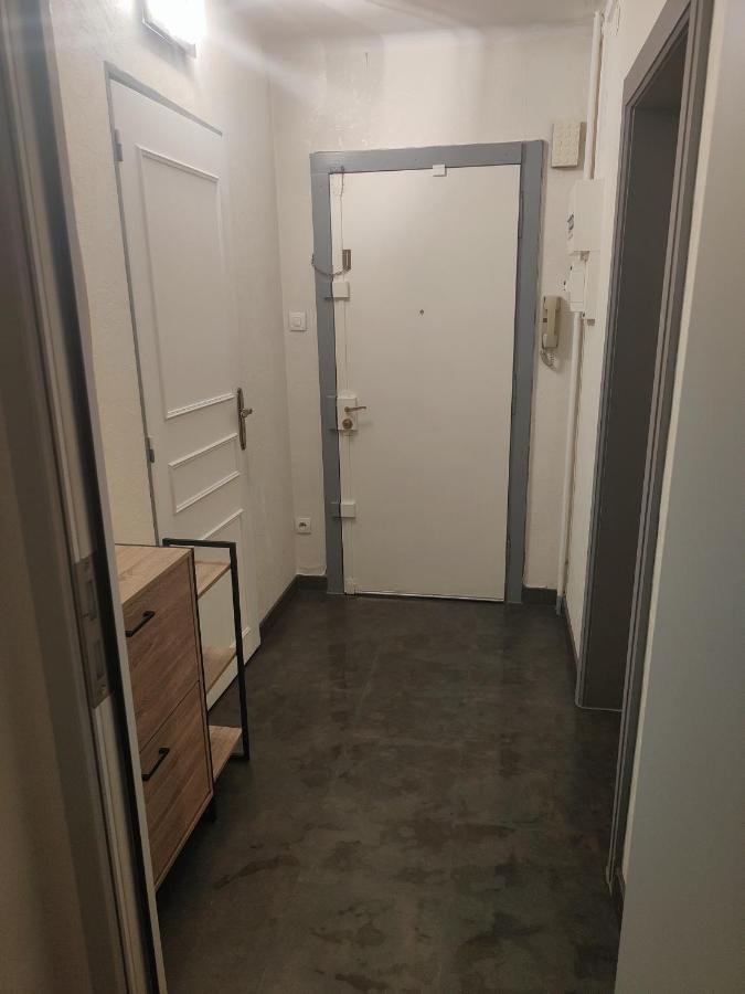 Tres Grand Appartement De 76M2 A Страсбург Екстер'єр фото