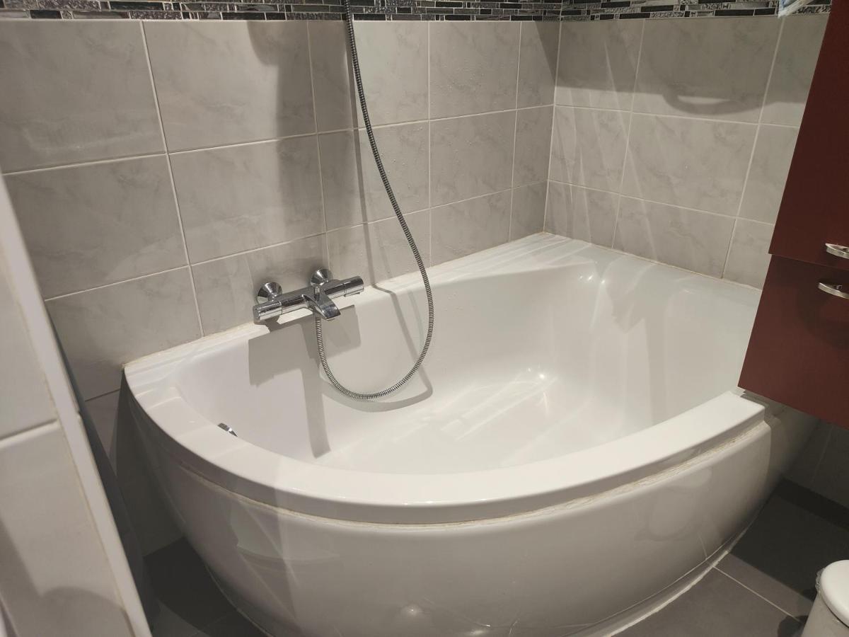 Tres Grand Appartement De 76M2 A Страсбург Екстер'єр фото