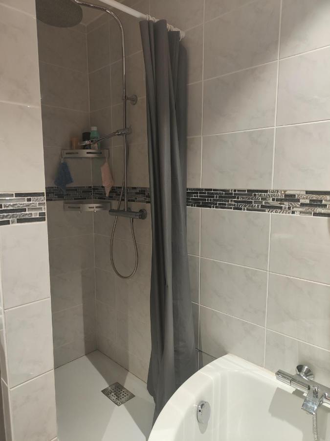 Tres Grand Appartement De 76M2 A Страсбург Екстер'єр фото