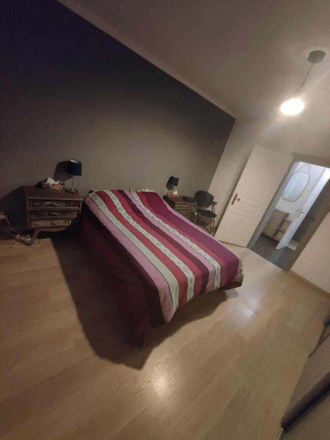 Tres Grand Appartement De 76M2 A Страсбург Екстер'єр фото