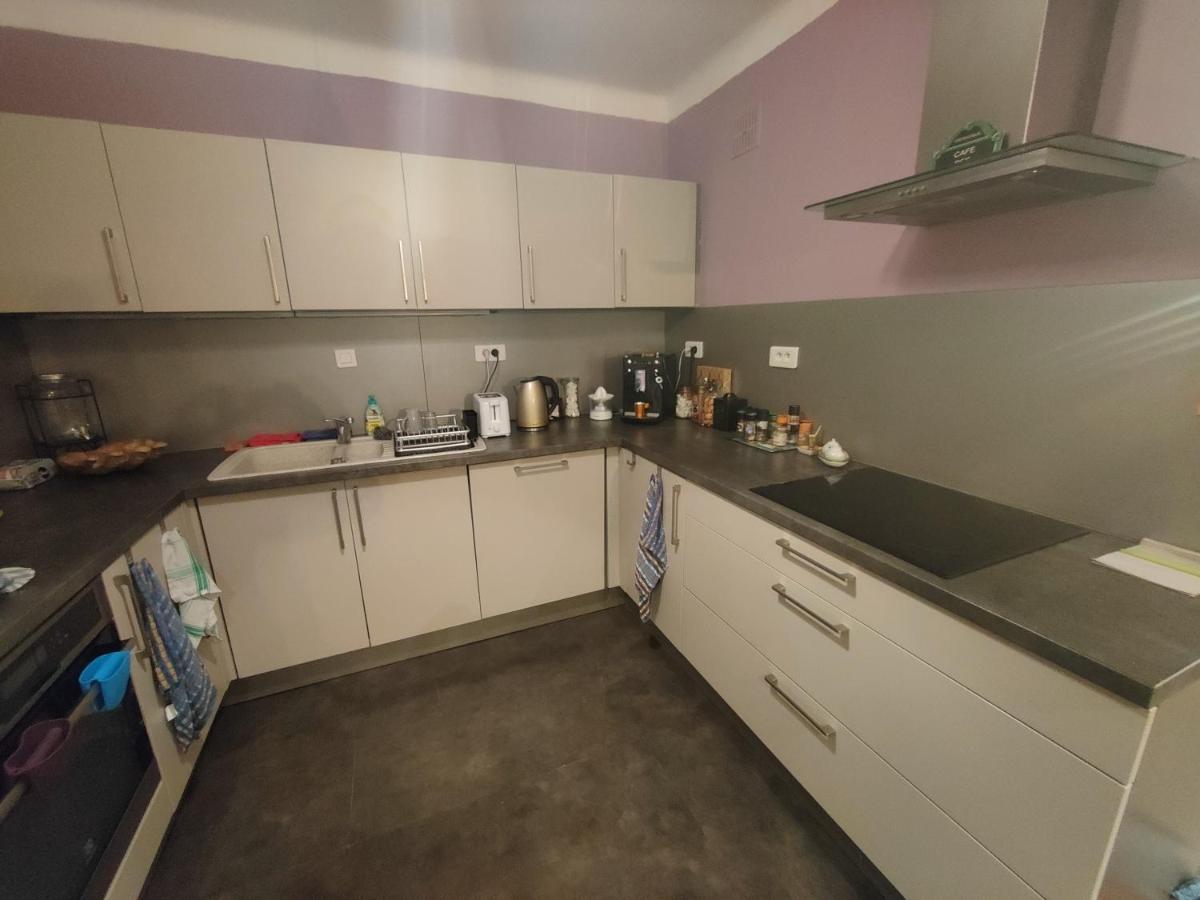 Tres Grand Appartement De 76M2 A Страсбург Екстер'єр фото