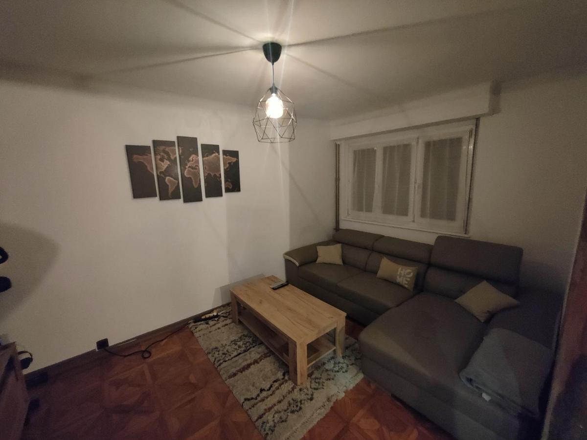 Tres Grand Appartement De 76M2 A Страсбург Екстер'єр фото
