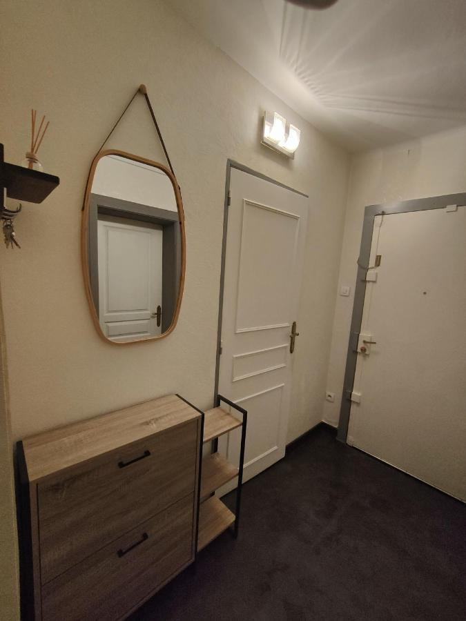 Tres Grand Appartement De 76M2 A Страсбург Екстер'єр фото